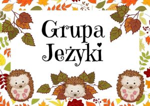 jezyki